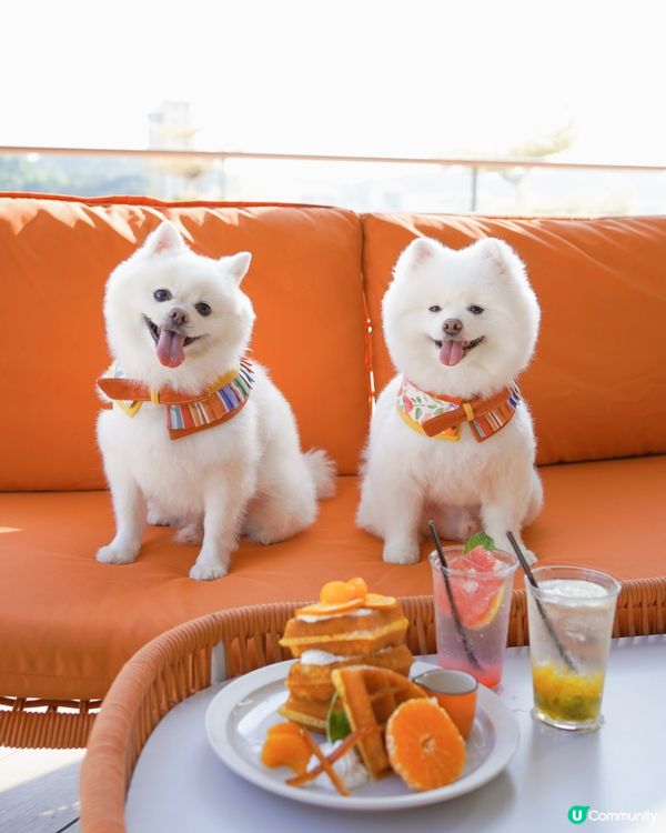 Chill住睇日落食tea☕️🌅