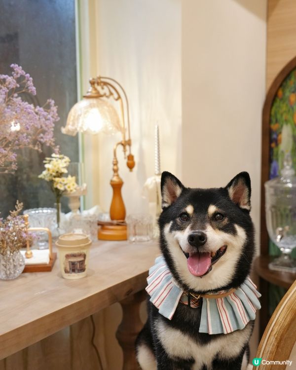 何文田法式Cafe！自家用心製作🥧😍