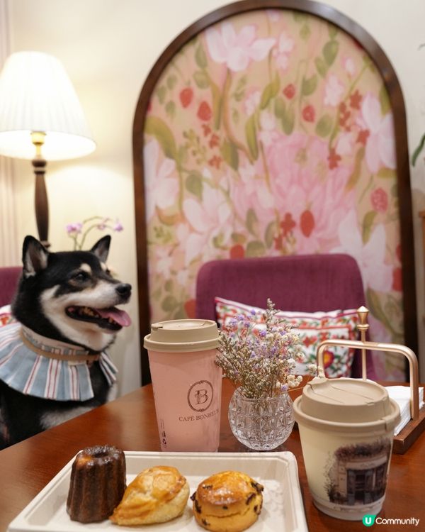 何文田法式Cafe！自家用心製作🥧😍