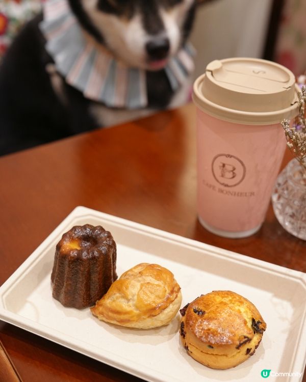 何文田法式Cafe！自家用心製作🥧😍