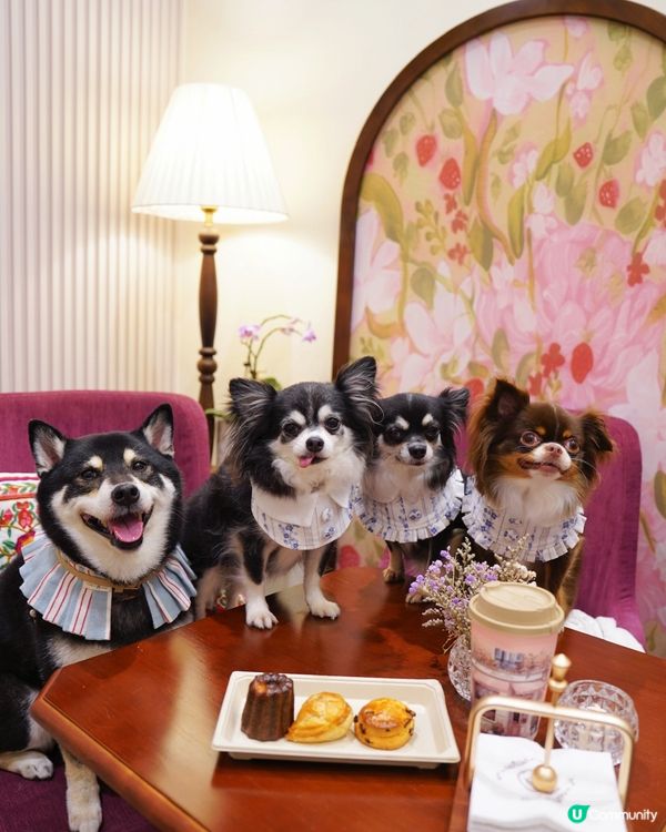 何文田法式Cafe！自家用心製作🥧😍