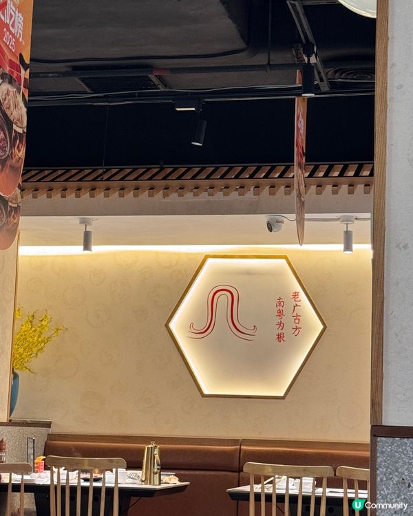 水圍順德公豬肚雞🤤！深夜食堂必去！🍲