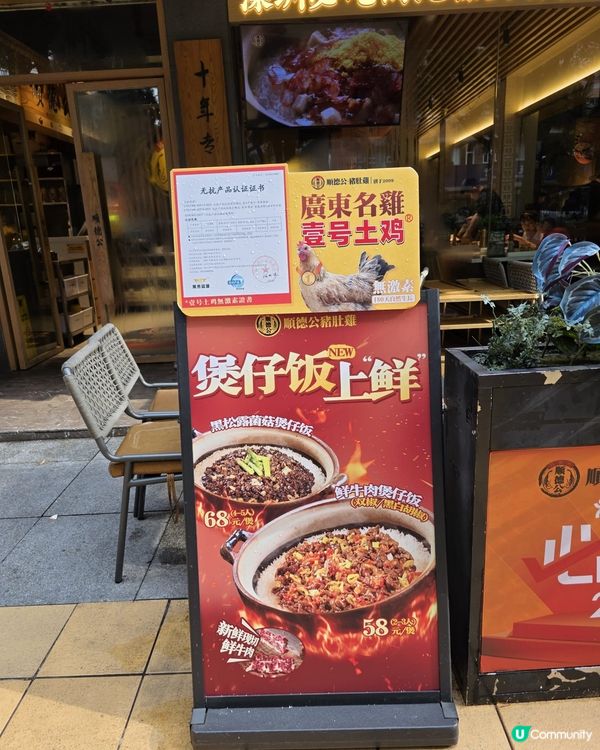 水圍順德公豬肚雞🤤！深夜食堂必去！🍲