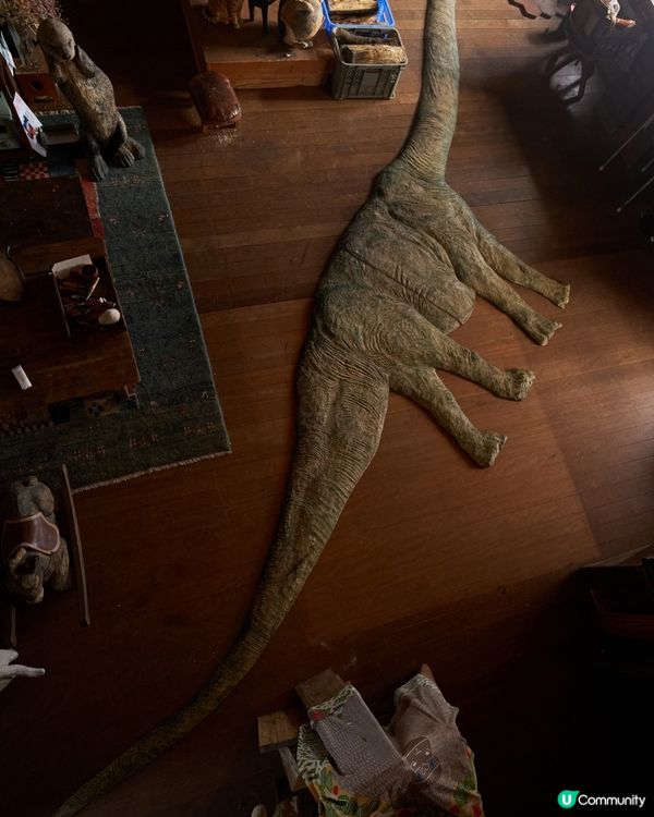 小動物療癒木雕展🐰🐱🐶