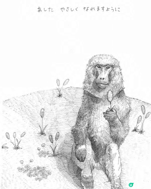 小動物療癒木雕展🐰🐱🐶