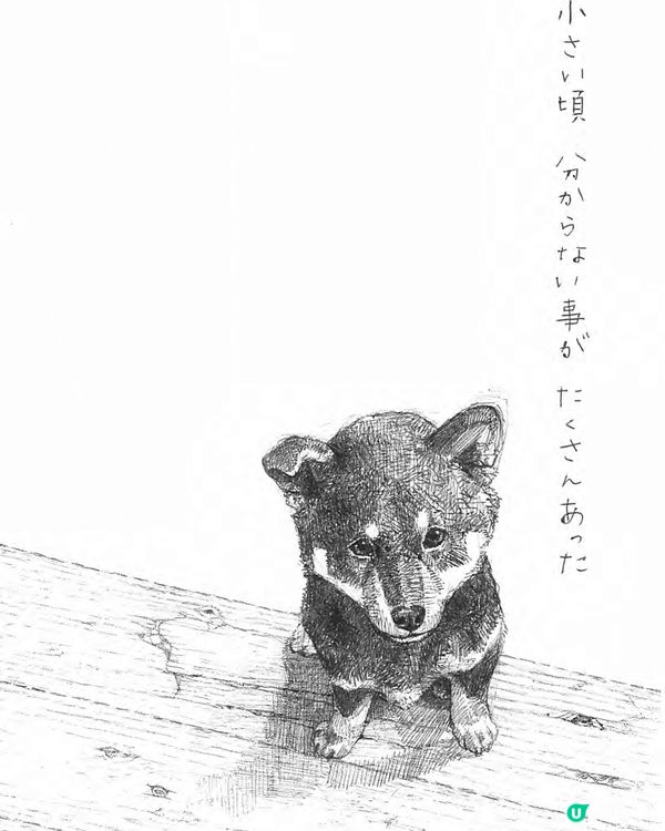 小動物療癒木雕展🐰🐱🐶