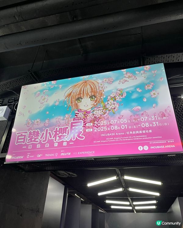 動漫迷必去 - 百變小櫻原稿紙