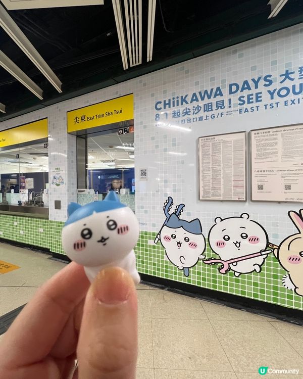 尖東站驚喜聲！出入閘都聽到CHIIKAWA超得意呀！🤩