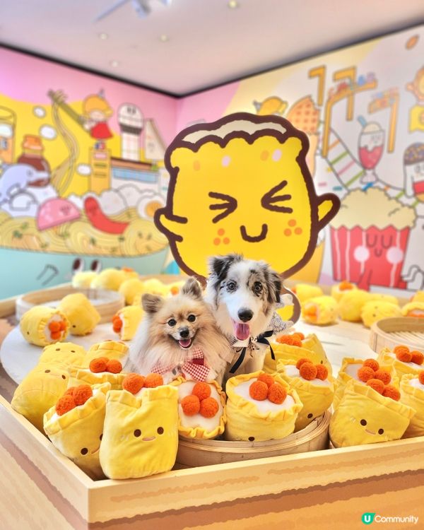 挪亞方舟｢為食菠蘿油樂園｣