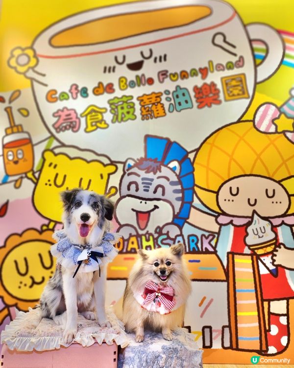 挪亞方舟｢為食菠蘿油樂園｣