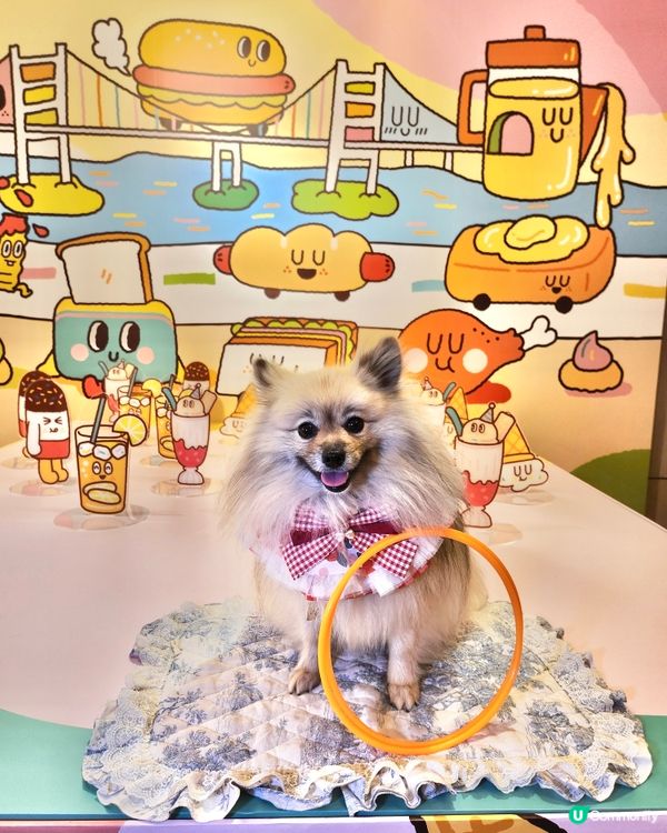 挪亞方舟｢為食菠蘿油樂園｣