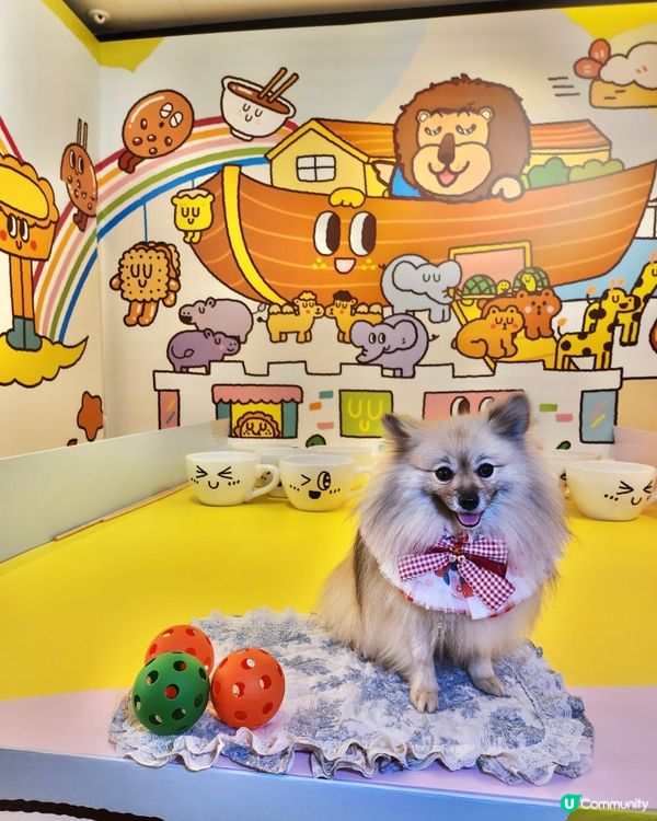 挪亞方舟｢為食菠蘿油樂園｣