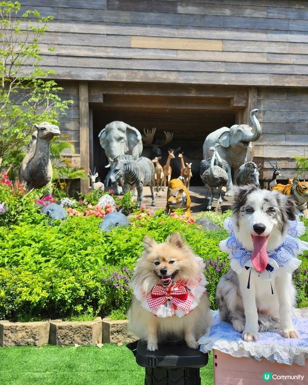 挪亞方舟｢為食菠蘿油樂園｣