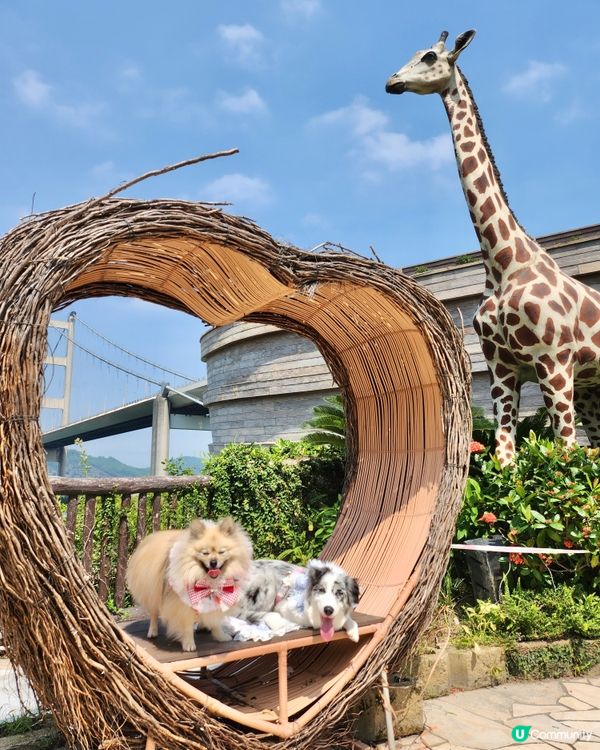 挪亞方舟｢為食菠蘿油樂園｣