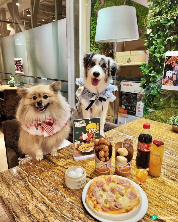 挪亞方舟｢為食菠蘿油樂園｣