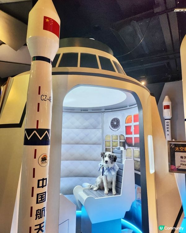 挪亞方舟｢為食菠蘿油樂園｣