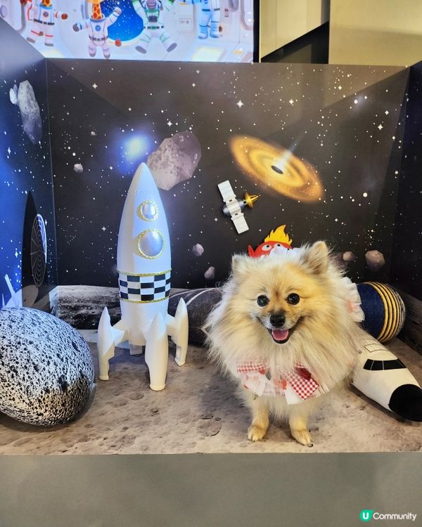 挪亞方舟｢為食菠蘿油樂園｣