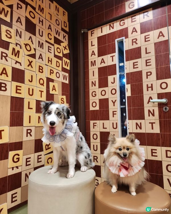 挪亞方舟｢為食菠蘿油樂園｣