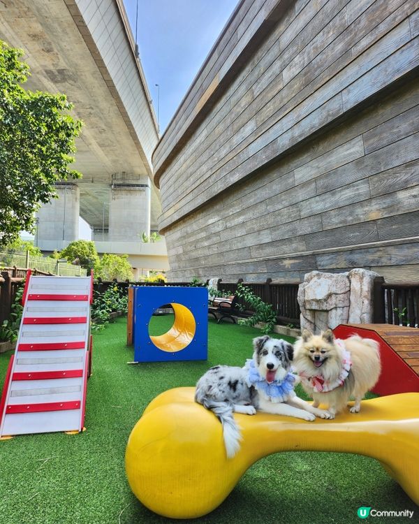 挪亞方舟｢為食菠蘿油樂園｣