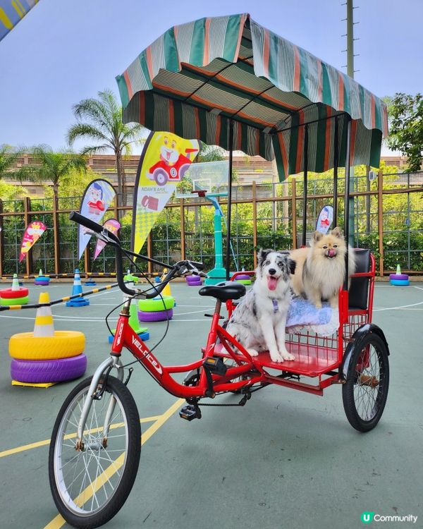 挪亞方舟｢為食菠蘿油樂園｣