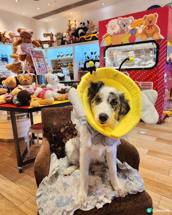 挪亞方舟｢為食菠蘿油樂園｣