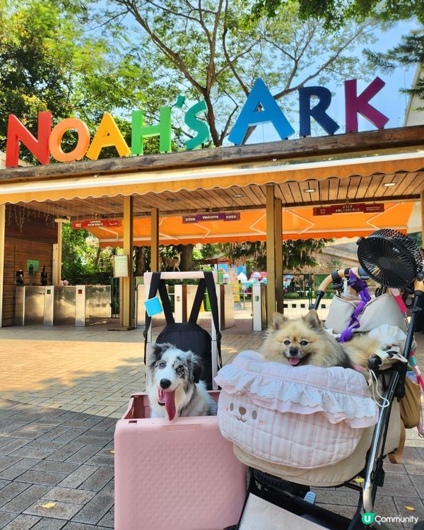 挪亞方舟｢為食菠蘿油樂園｣