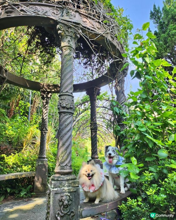 挪亞方舟｢為食菠蘿油樂園｣