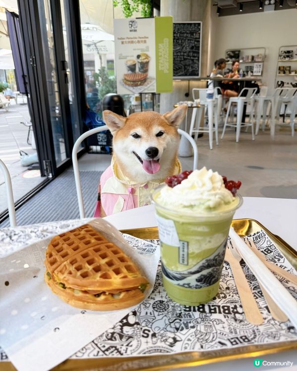 / 帶毛孩去Cyber cafe \