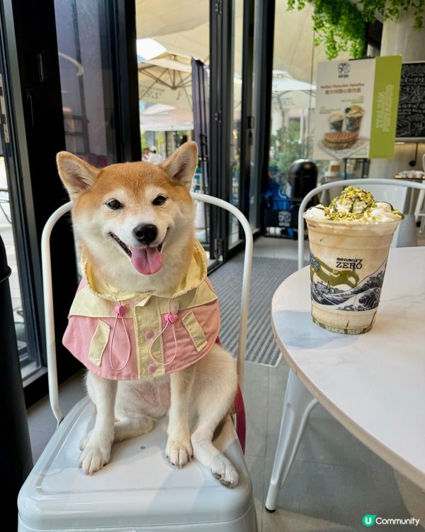 / 帶毛孩去Cyber cafe \