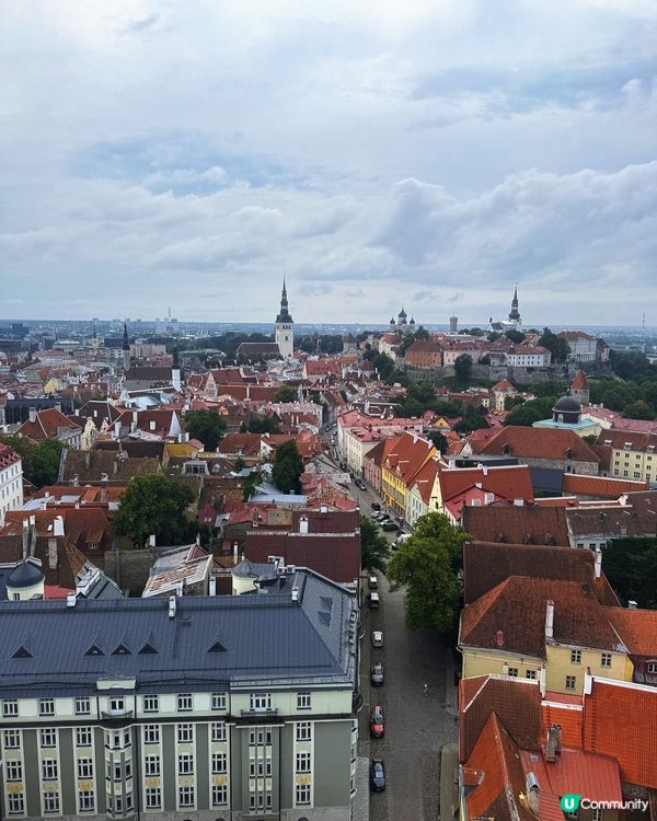 周末快閃Tallinn 🇪🇪倫敦熱浪33度 差點中暑🥵