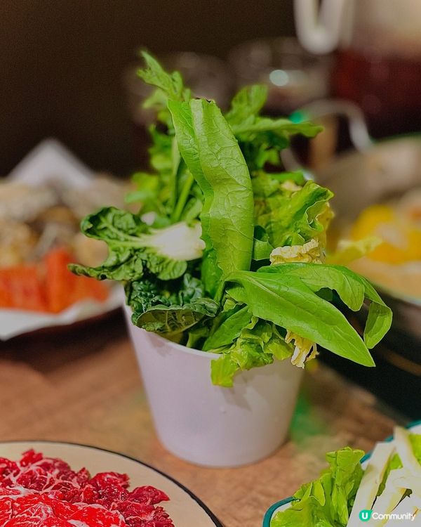 火鍋名店珍姐舊班底系灣仔開新店😍 牛魔王福音💥