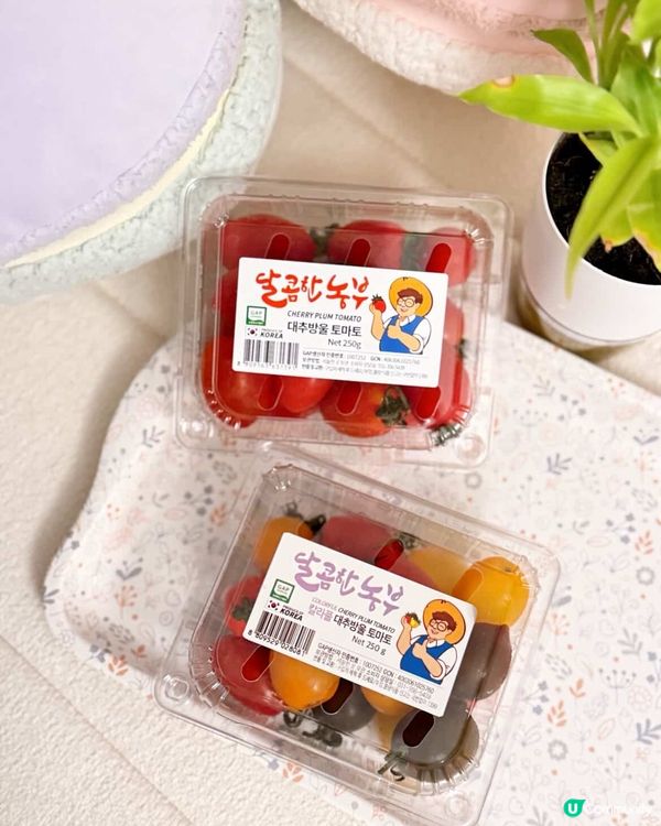 韓國車厘茄🍅！健康又好味😋做零食啱哂👍🏻