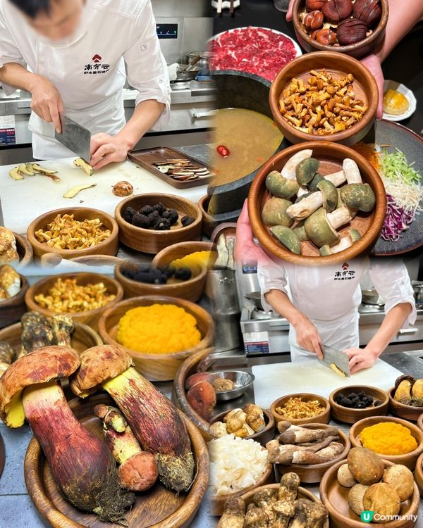 到深圳找尋不凡的火鍋 野生菌石鍋雷等你來