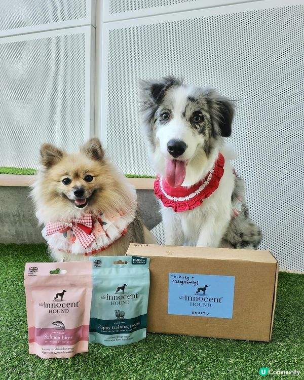 英國獲獎風乾食品品牌~The Innocent Hound