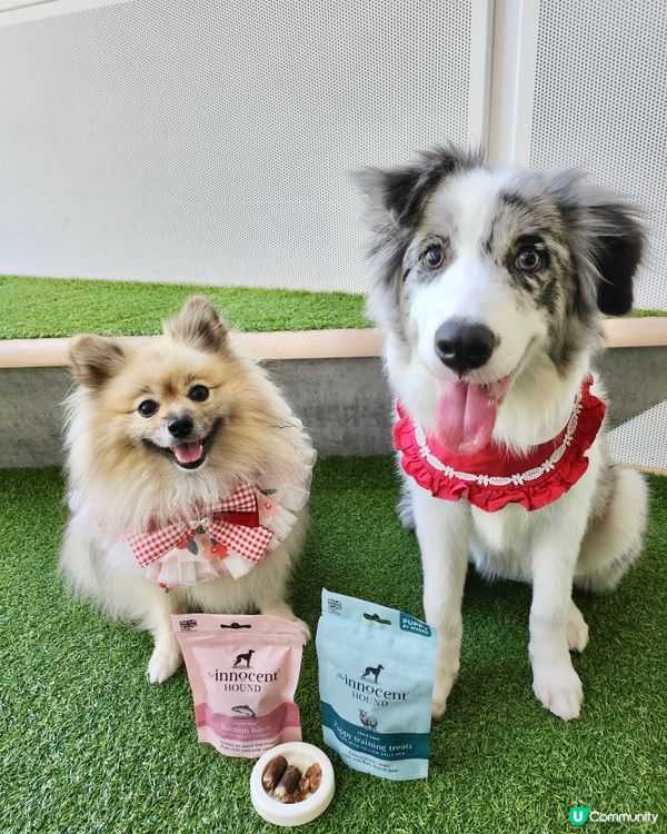 英國獲獎風乾食品品牌~The Innocent Hound