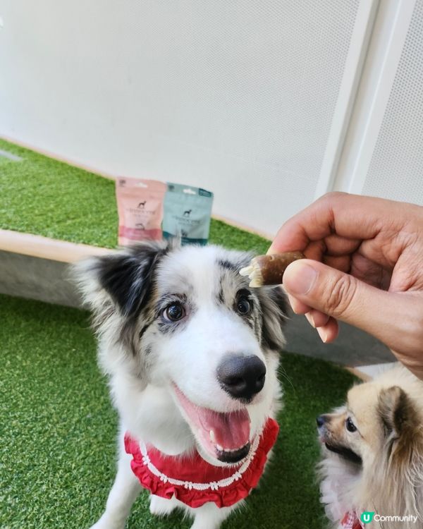 英國獲獎風乾食品品牌~The Innocent Hound