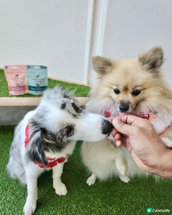 英國獲獎風乾食品品牌~The Innocent Hound