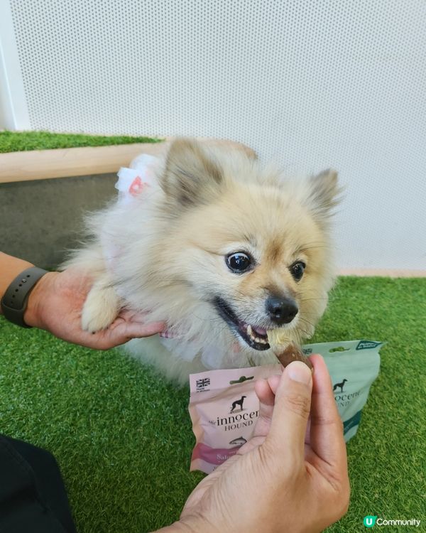 英國獲獎風乾食品品牌~The Innocent Hound