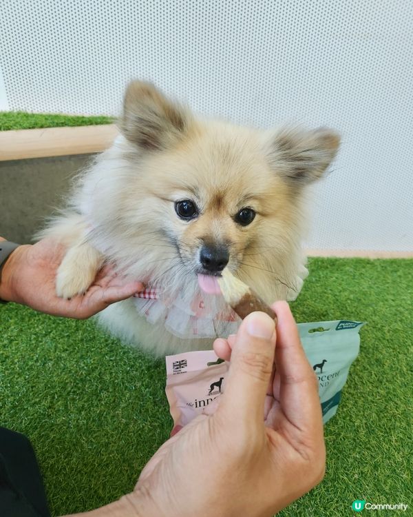 英國獲獎風乾食品品牌~The Innocent Hound