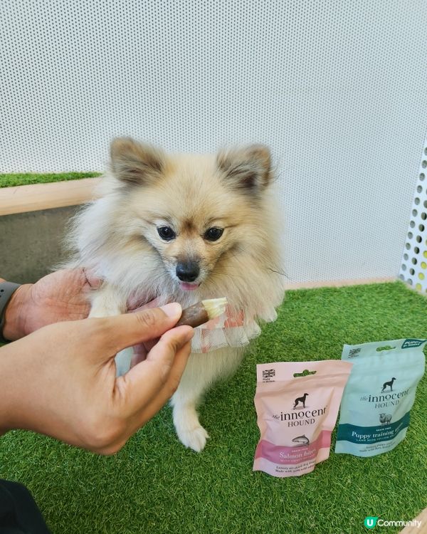 英國獲獎風乾食品品牌~The Innocent Hound