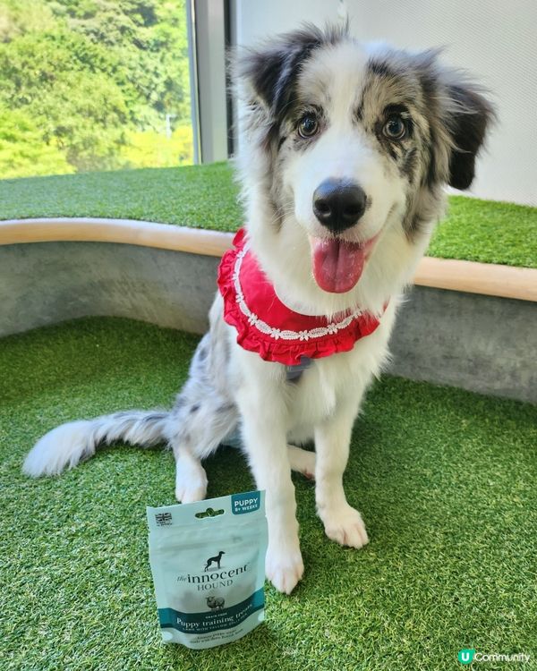 英國獲獎風乾食品品牌~The Innocent Hound