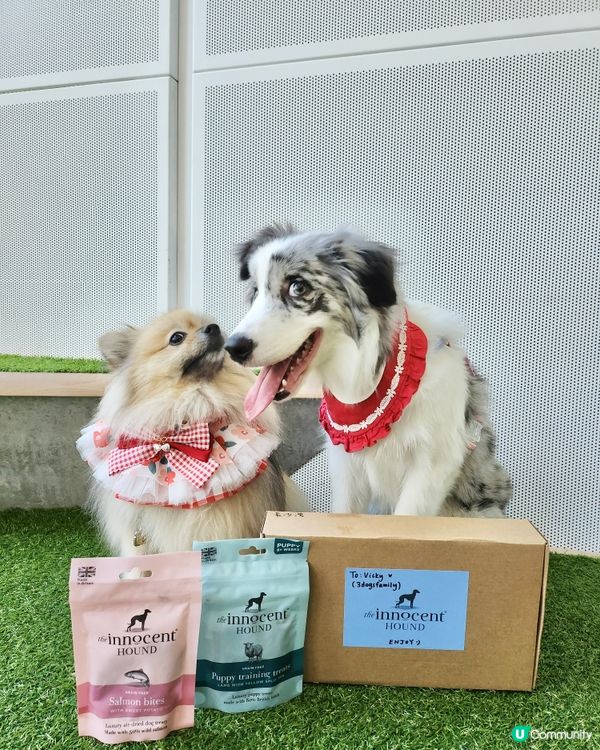 英國獲獎風乾食品品牌~The Innocent Hound