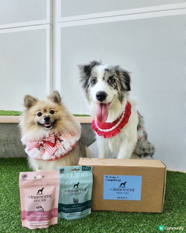 英國獲獎風乾食品品牌~The Innocent Hound