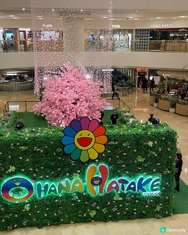 村上隆襲港！太古廣場限定店開鑼！🌸🛍️