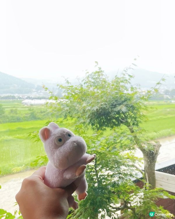 由布丸 湯の坪街道