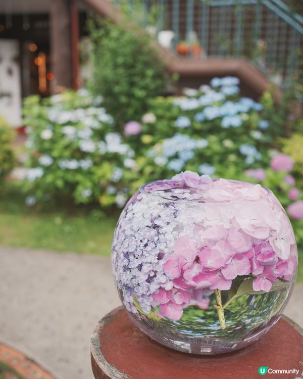 由布丸 湯の坪街道