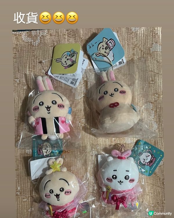 chiikawa 收貨日常，不懂我的家人