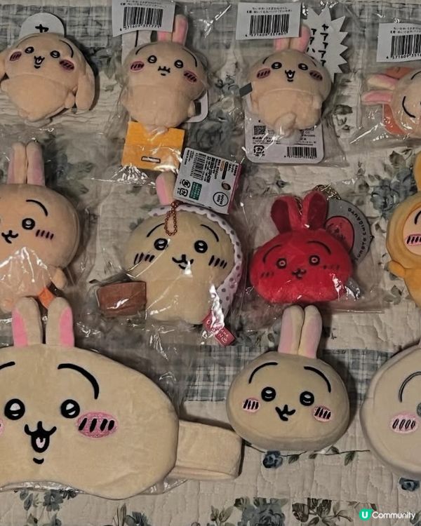 chiikawa 收貨日常，不懂我的家人