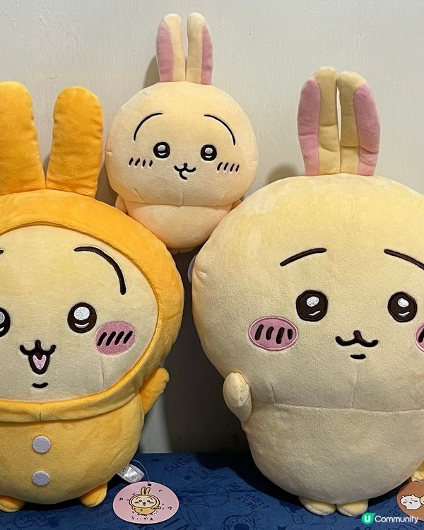 chiikawa 收貨日常，不懂我的家人