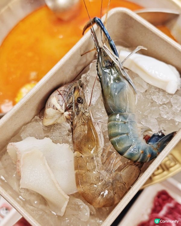 和牛🥩大頭蝦🦐乳鴿🐦任食